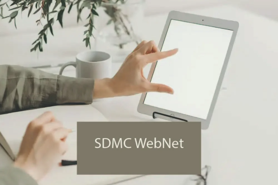 Top Benefits of Partnering with SDMC Webnet for Your Business Needs