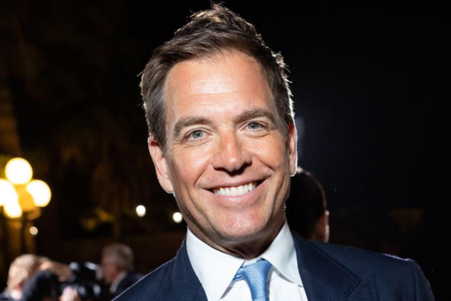 Michael Weatherly Net Worth in 2024: How Much Has He Earned from His Iconic Roles? With More Explore